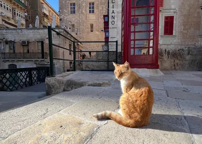 Moon Malta Boutique With Rooftop Pool & Sea Views Of Valletta, Grand Harbour & Three Cities Frühstückspension Cospicua